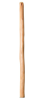 Natural Finish Didgeridoo (TW1512)